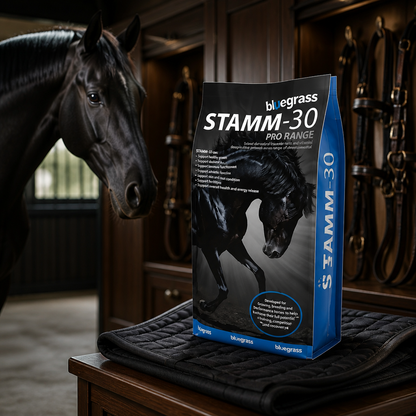 Bluegrass Stamm 30