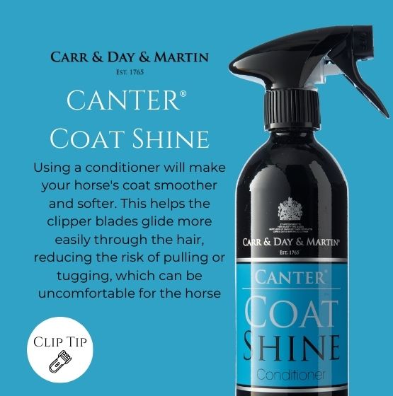 Carr Day and Martin Coat Shine 500ml