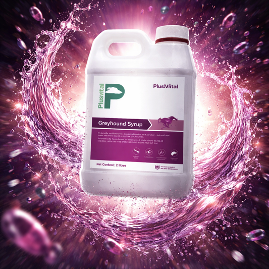 Plusvital Greyhound Syrup 2L