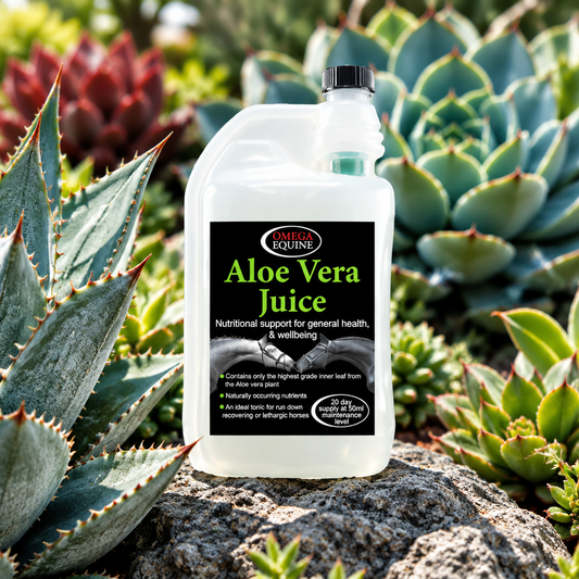 Omega Aloe Vera Juice 1L**€1 OFF**