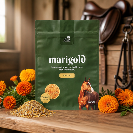 Marigold 500g GlasEquine
