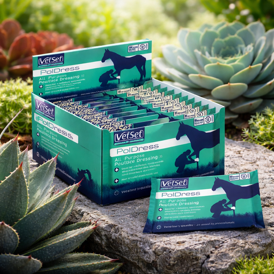 VetSet Poldress Poultice single sachet