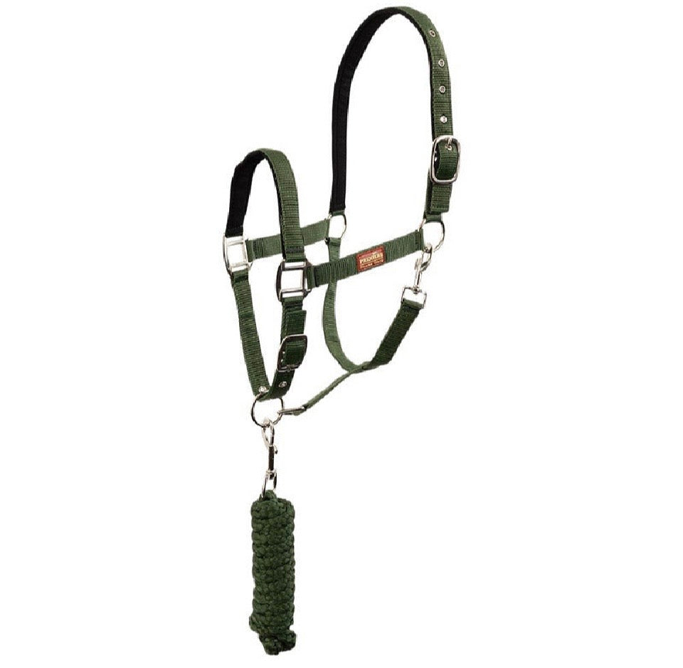 Shetland pony halter & rope set