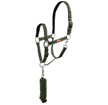 Shetland pony halter & rope set