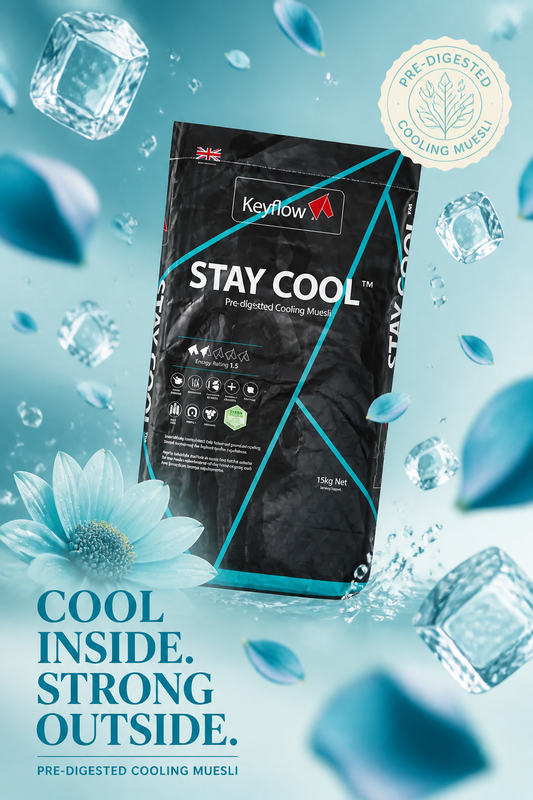 KEYFLOW STAY COOL 15KG**PR-ORDER ONLY**DUBLIN HORSE SHOW OFFER**USE THE CODE**