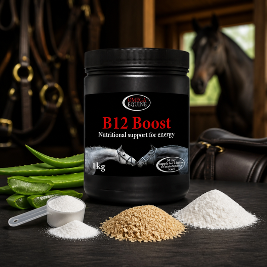 Omega Equine B12 Boost 1kg