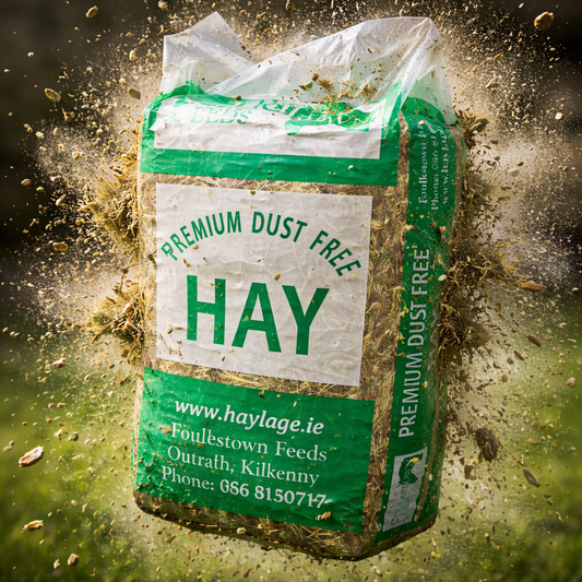 HAY IN A BAG***IN STORE COLLECTION ONLY****