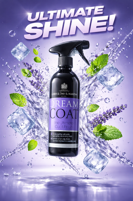 Carr Day and Martin Dreamcoat 500ml