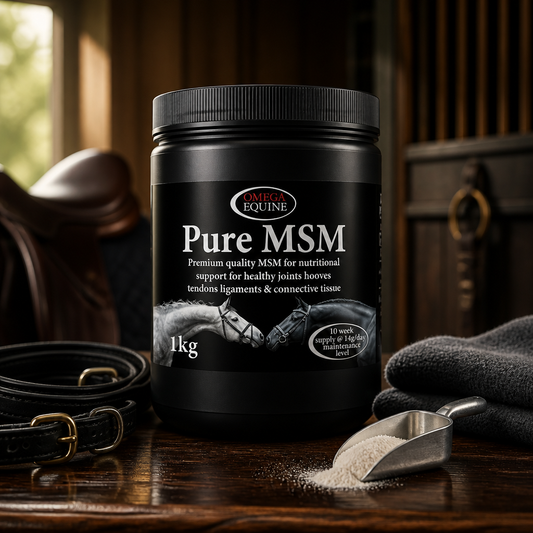 Omega Equine Pure MSM 1Kg