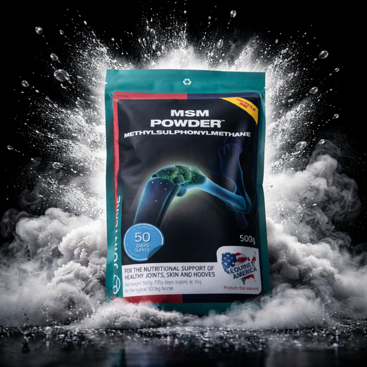 MSM Powder Sachet 500g