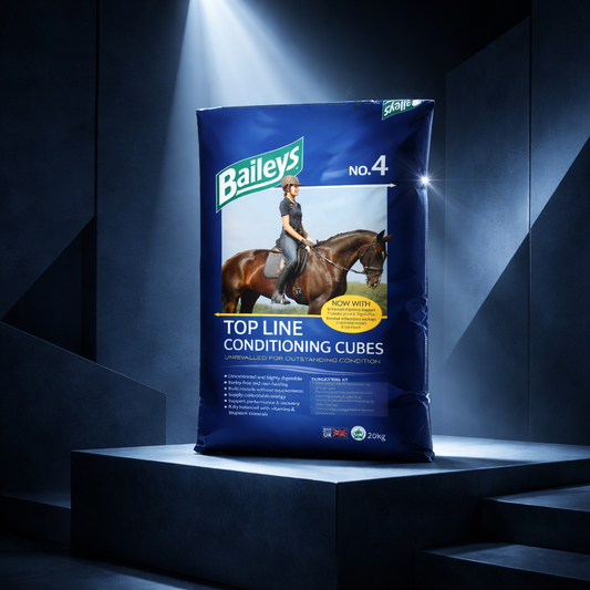 Bailey no4 Topline Conditioning Cubes