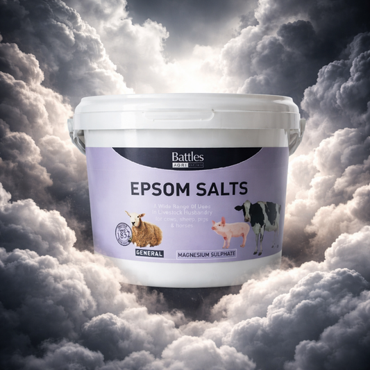 Battles Epsom Salts 2kg