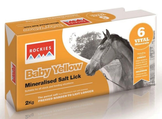 Baby Yellow Rockies 2kg