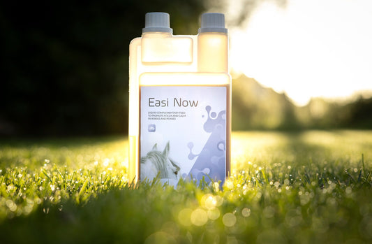 Easi Now 1 litre