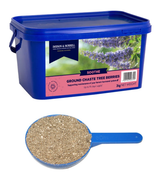 Ground Chaste Tree Berries 2kg D&H