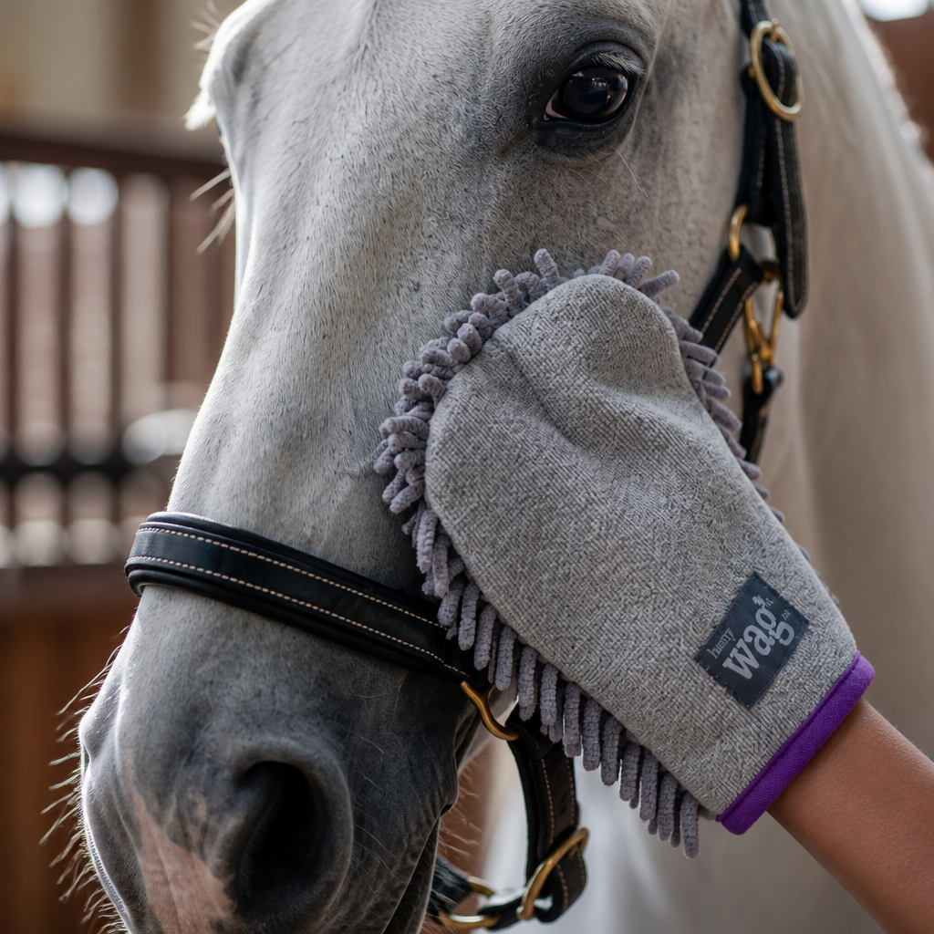 Henry Wag Equine cleaning & drying glove