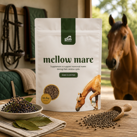 Mellow Mare Mood Balancer  1kg