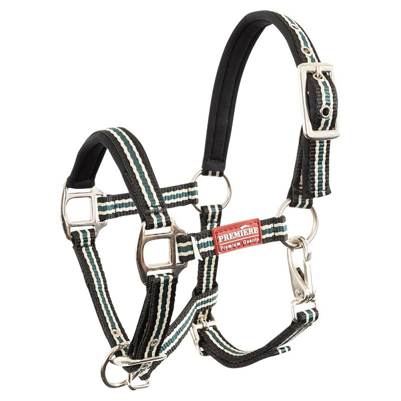 Foal halter