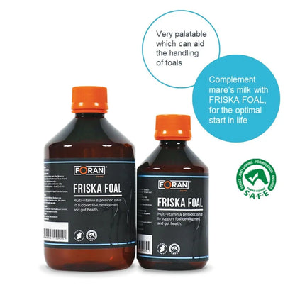 Forans Friska Foal