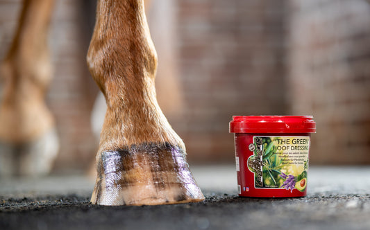 Kevin Bacon Green Hoof Dressing 500ml