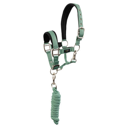 Pony & Cob Halters with lead ropes