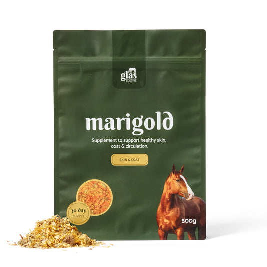 Marigold 500g GlasEquine