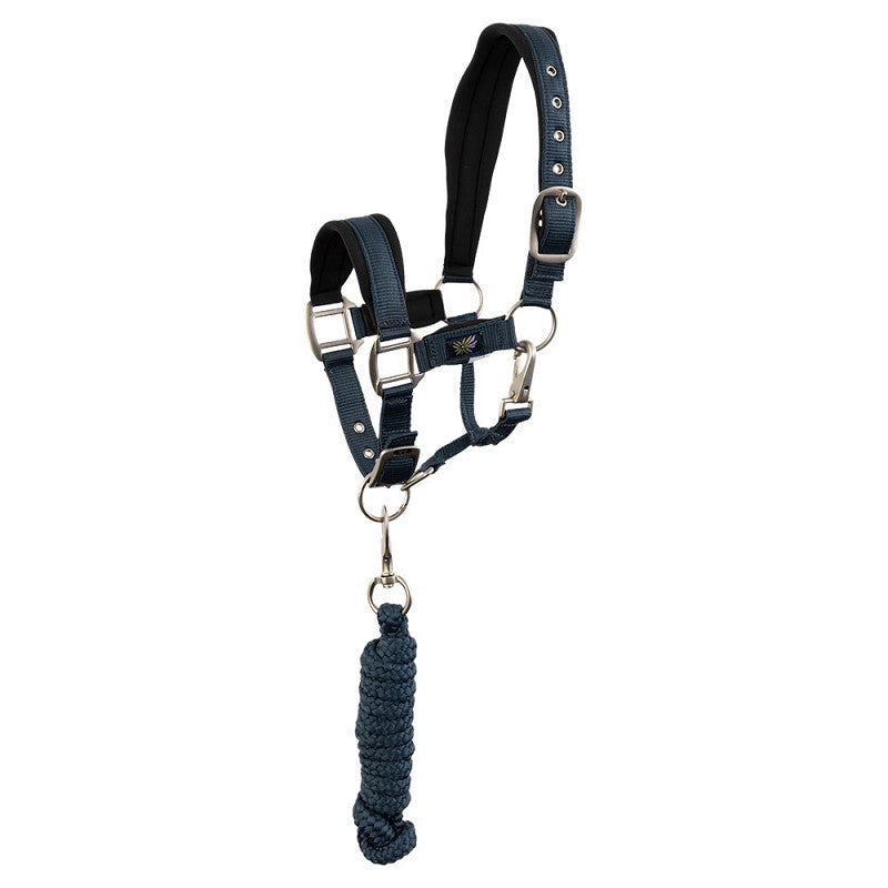 Pony & Cob Halters with lead ropes