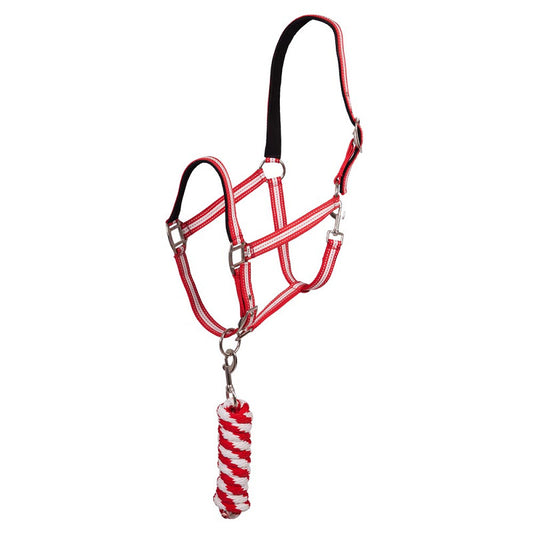 Pony Halter set