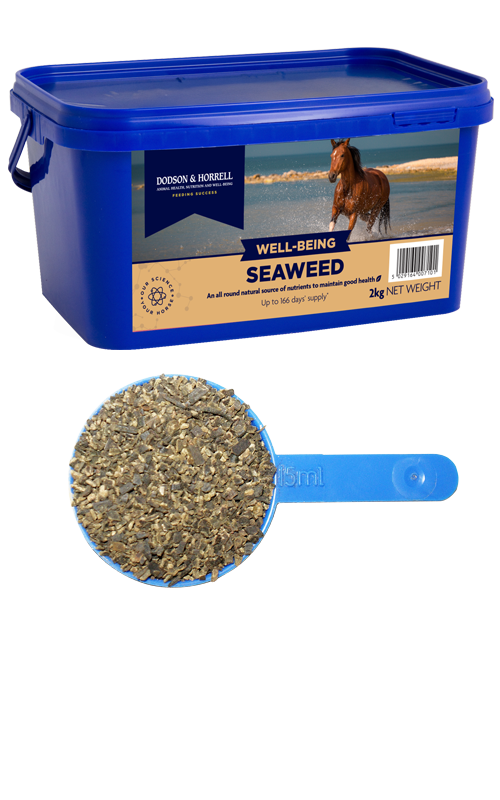 SEAWEED 2kg D&H