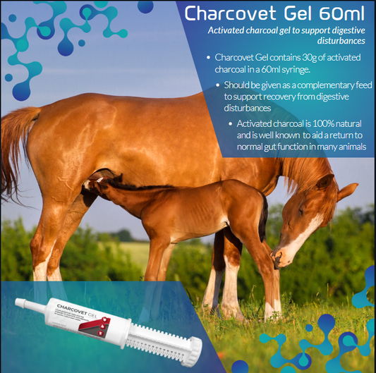 Charcovet Foal Gel 60ml syringe