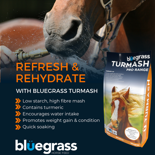 Bluegrass Turmash