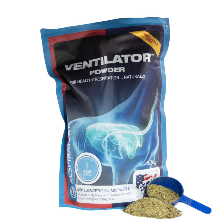 Ventilator Powder 500g