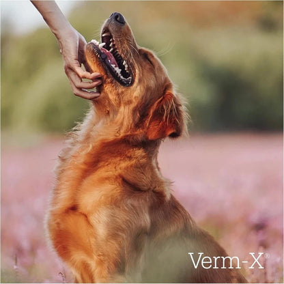 VERM X CANINE LIQUID 250ml
