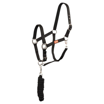 Pony Halter set snap hook