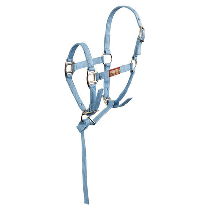 Foal Halter with small lead rope