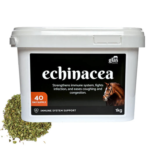 Echinacea Immune System Support  500g**TO CLEAR**
