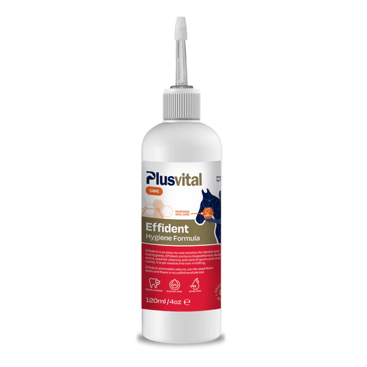 Plusvital Effident  120ml Oral hygiene
