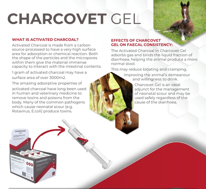 Charcovet Foal Gel 60ml syringe