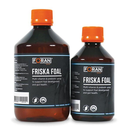 Forans Friska Foal