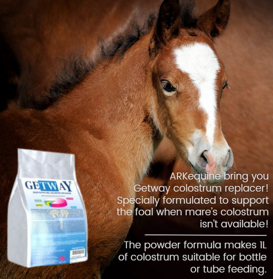 GeTWay colostrum substitute for foals 450g