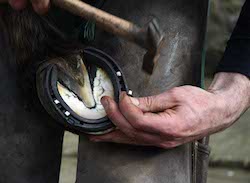 Omega Equine Hoof Form 870g