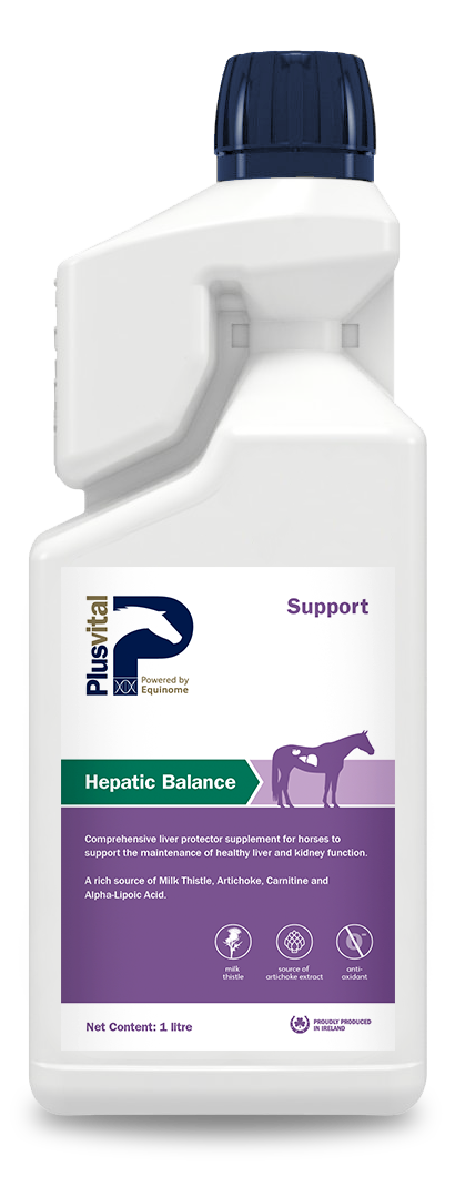 Plusvital Hepatic Balance 1 litre**Special offer**