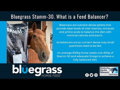Bluegrass Stamm 30