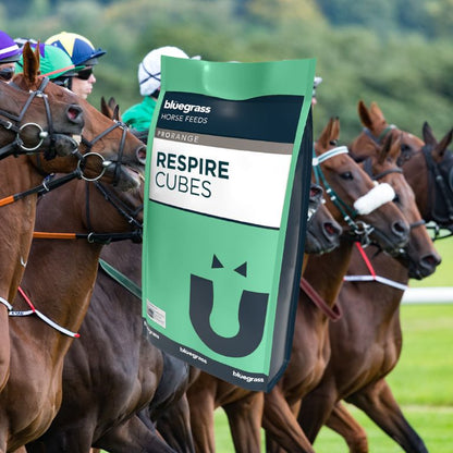 Bluegrass Respire cubes***NEW PRODUCT***