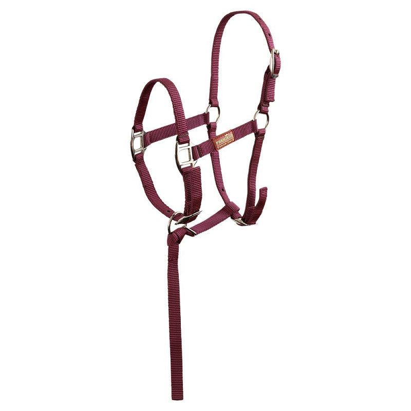 Foal Halter with small lead rope