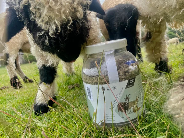 VERM X Original Pellets for Sheep & Goats 750g