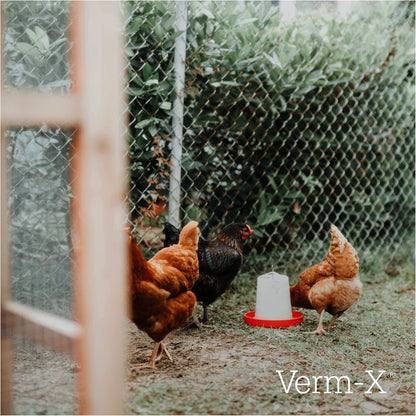 VERM X POULTRY ZEST 500G