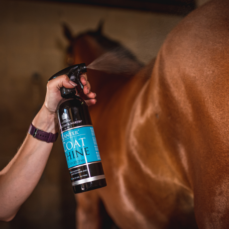 Carr Day and Martin Coat Shine 500ml
