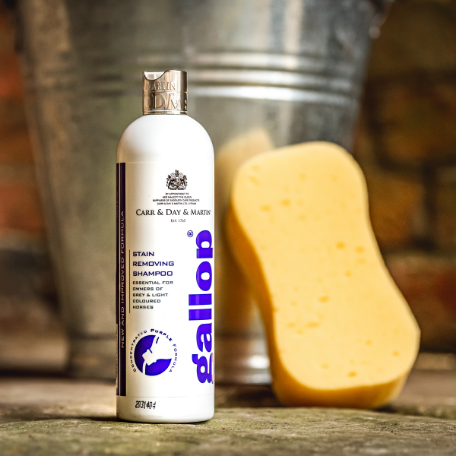Carr Day and Martin Gallop Stain Removing Shampoo 500ml