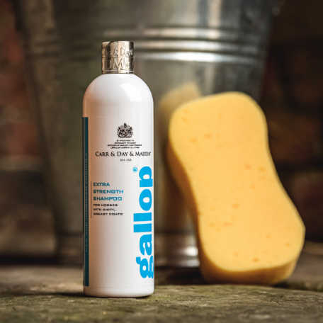 Carr Day and Martin Gallop Extra Strength Shampoo 500ml